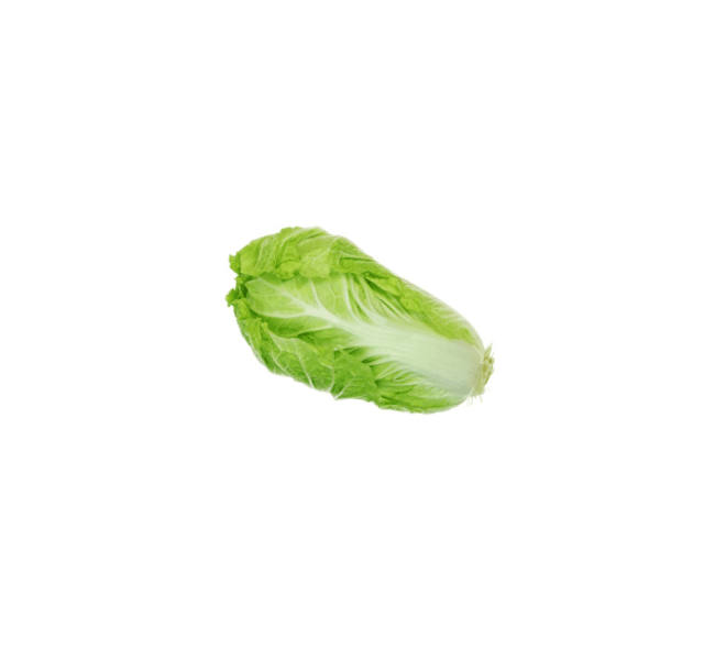 Firm Fresh White Lettuce